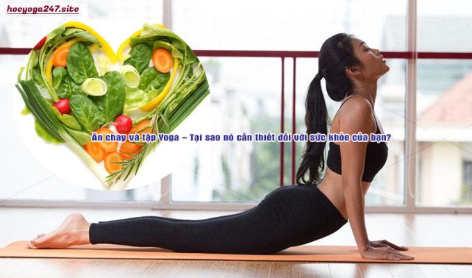 Ăn chay và tập Yoga – Tại sao nó cần thiết đối với sức khỏe của bạn?