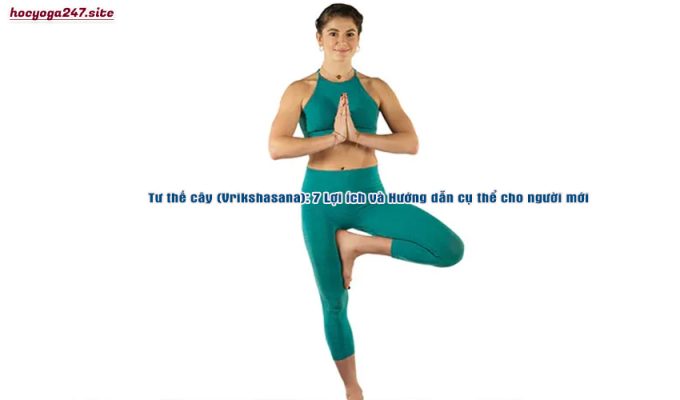 Tư thế cây (Vrikshasana): 7 Lợi ích và Hướng dẫn cụ thể cho người mới