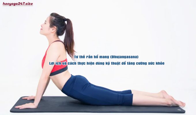 Tư thế rắn hổ mang (Bhujangasana): Lợi ích và cách thực hiện đúng kỹ thuật để tăng cường sức khỏe